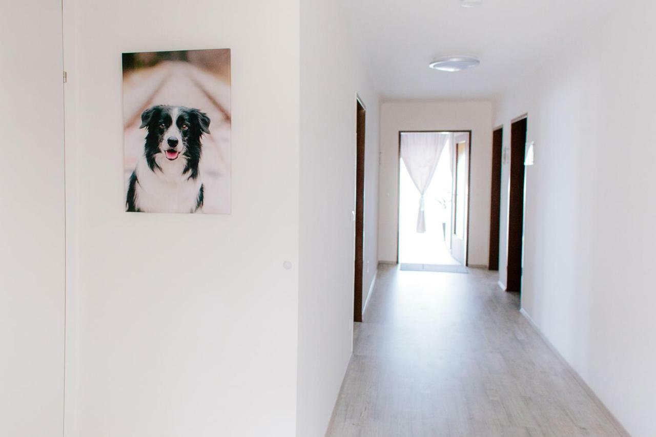 Steira-Studios Ehrenhausen Εξωτερικό φωτογραφία
